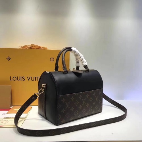 Louis Vuitton Bag 081